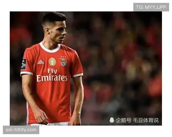 意甲青训体系评估报告发布，年轻球员培养成效显著